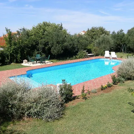 Appartamento Anica-2 By Interhome Diklo